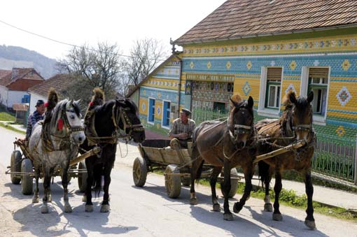 Banátští hospodáři jsou životně závislína čtyřnohých pomocnících Banátští hospodáři jsou životně závislína čtyřnohých pomocnících