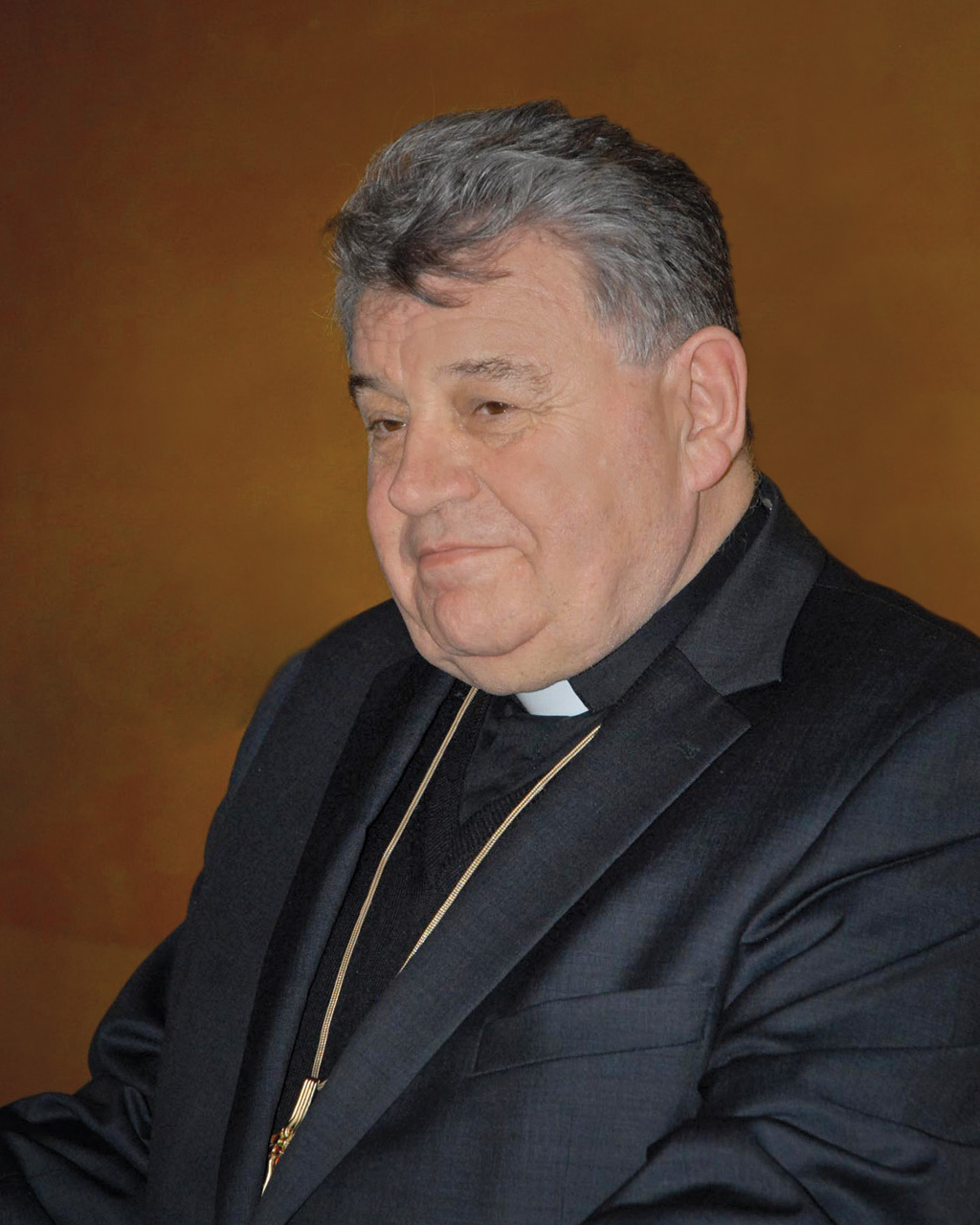 Workshopu se účastnil i čerstvý kardinál Dominik Duka