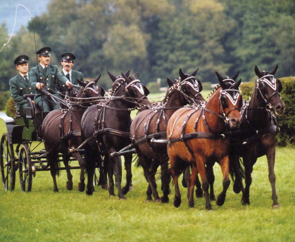 Národný žrebčín Topoľčianky