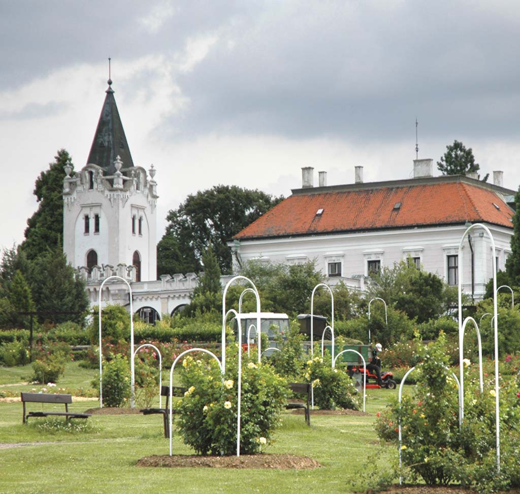 Arboretum Mlyňany