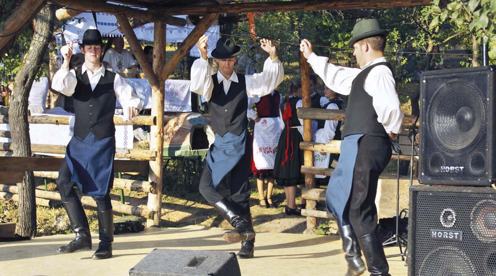 			Turnianska vínna cesta, festival			