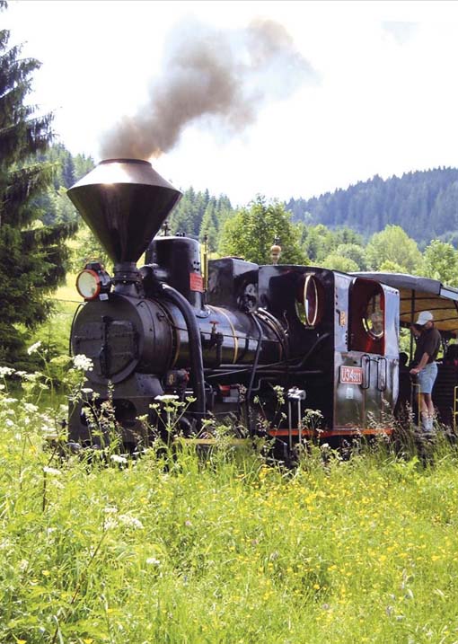 			Žilinský samosprávny kraj, Historická lesná úvraťová železnica			