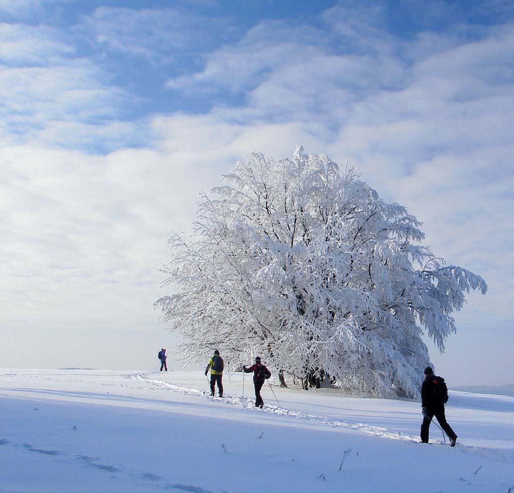 			Zima v Bielych Karpatoch – archív MAS Kopaničiarsky región			
