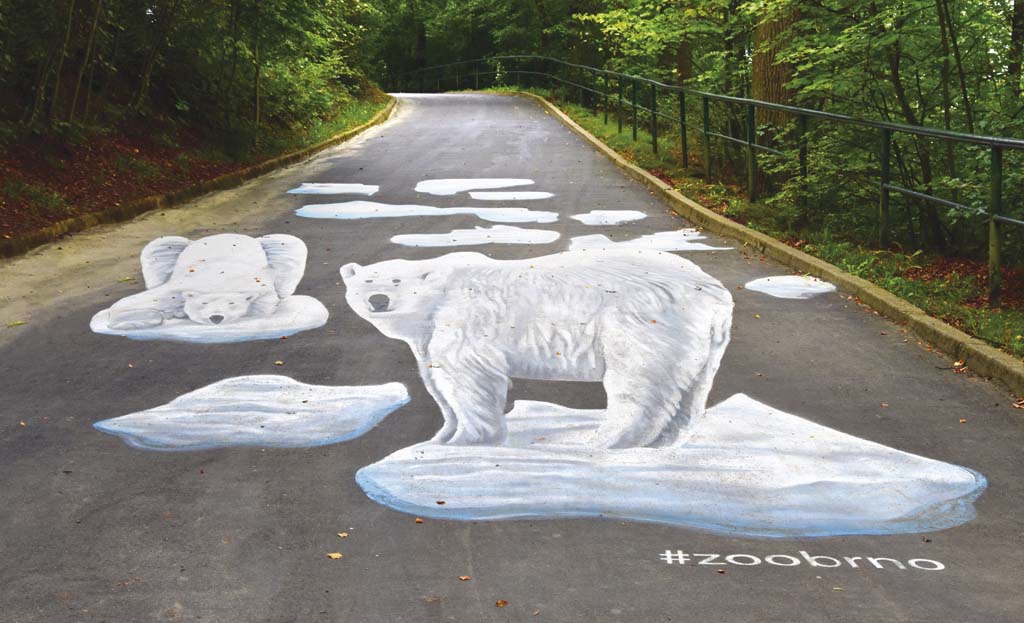  Zoo Brno – nový nástřik chodníku s tematikou ledních medvědů, místních ikonických zvířat 
