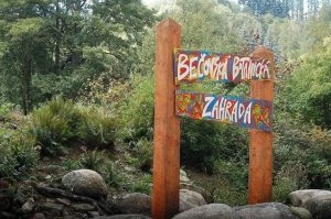 Foto: Botanická zahrada