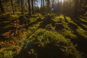 Foto: Štěpán Látal, KV Point