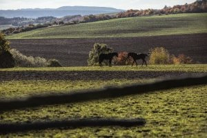 Foto: Štěpán Látal, KV Point