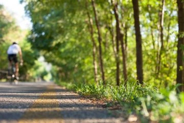 Foto: Shutterstock.com
