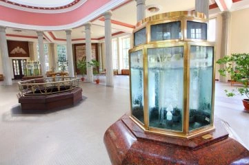 Foto: Shutterstock.com