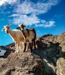 Foto: Shutterstock.com