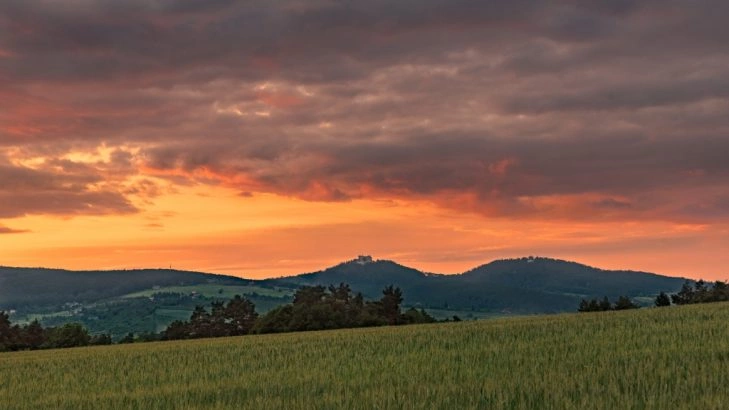 Foto: Shutterstock.com