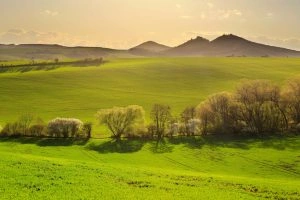 Foto: Shutterstock.com