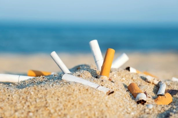 Foto: Shutterstock.com