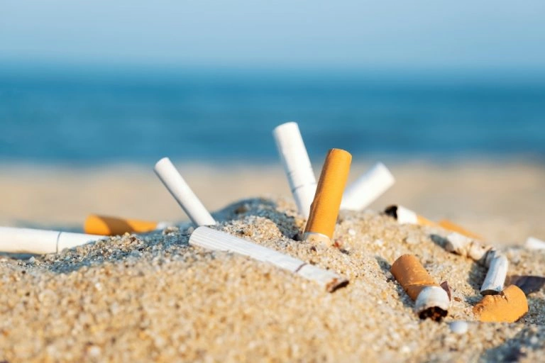 Foto: Shutterstock.com