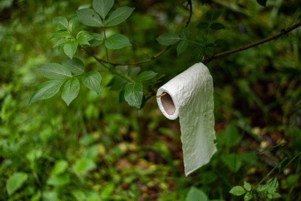 Foto: Shutterstock.com