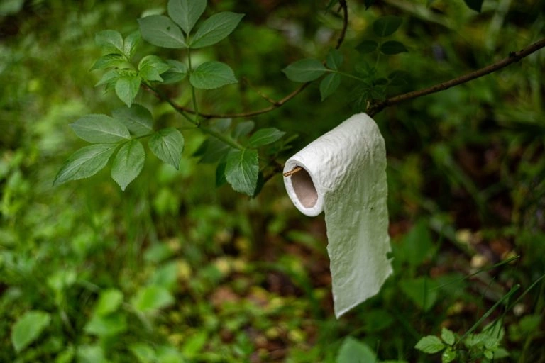 Foto: Shutterstock.com