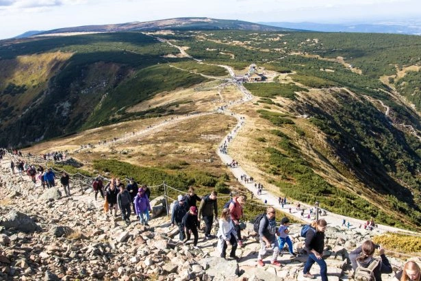 Foto: Shutterstock.com