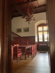 Foto: Nikola Košínová