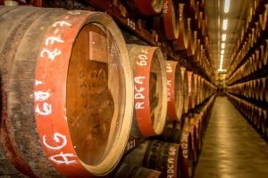 Foto: Shutterstock.com