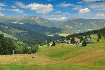 Foto: Shutterstock.com