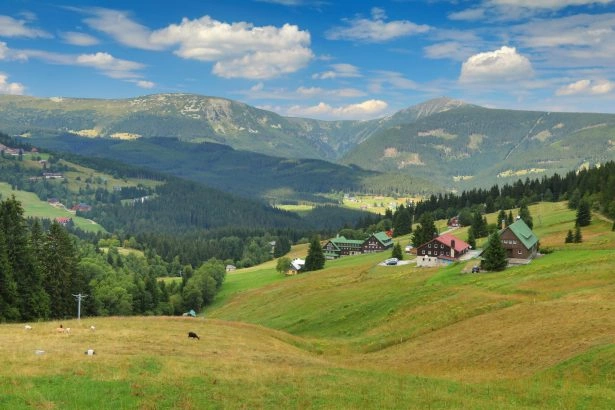 Foto: Shutterstock.com