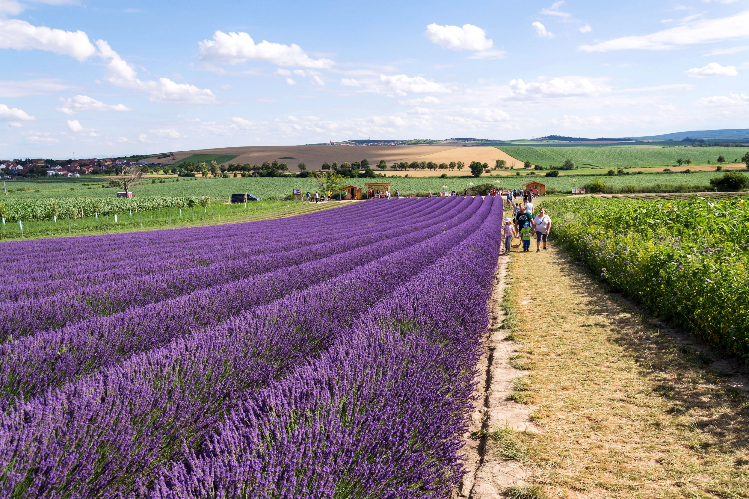 Foto: Shutterstock.com