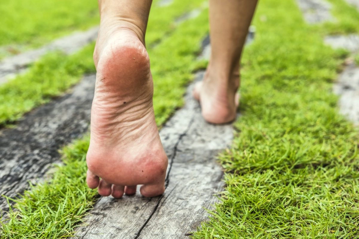 Foto: Shutterstock.com