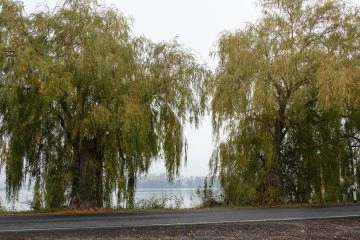 Foto: Shutterstock.com