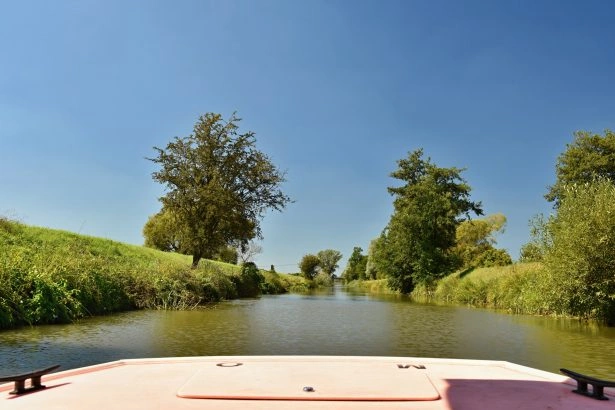 Foto: Shutterstock.com