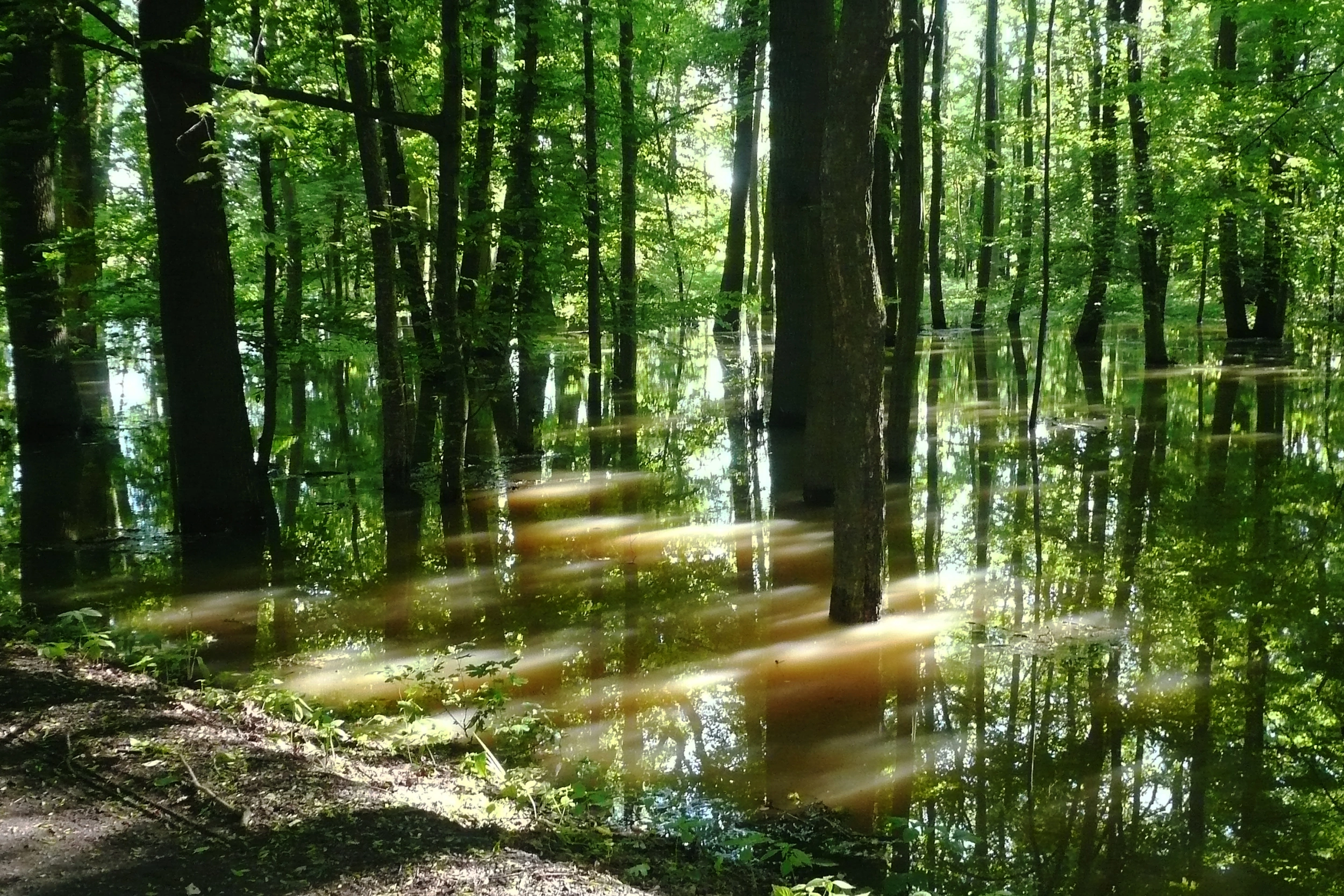 Foto: Shutterstock.com