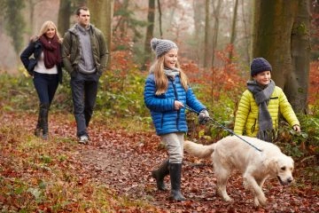 Zdroj: Partnerství pro městskou mobilitu