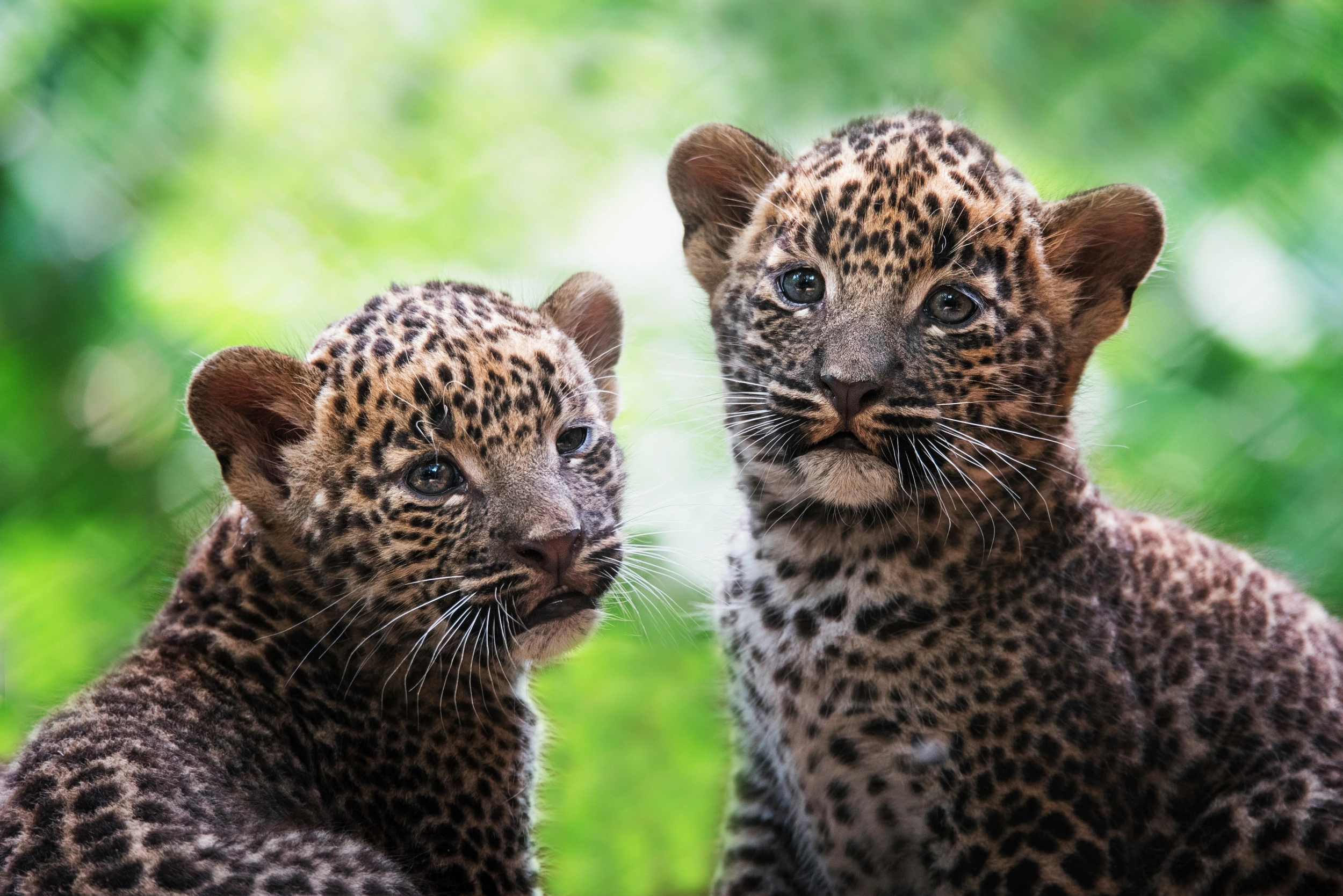 Ilustrační foto: Shutterstock.com