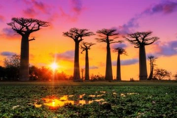 Foto: Shutterstock.com