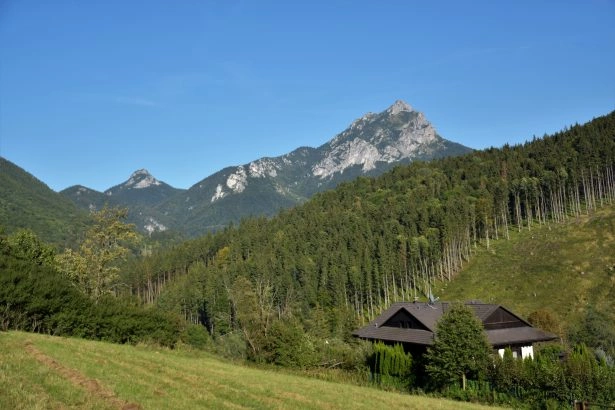 Foto: Petr Manuel Ulrych