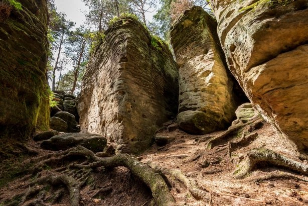 Foto: Shutterstock.com