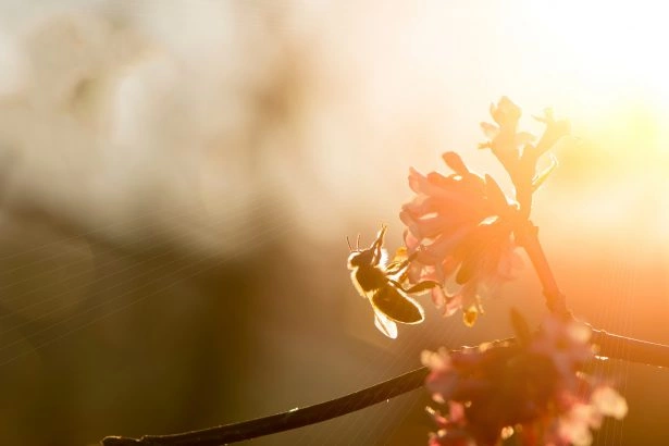 Foto: Shutterstock.com