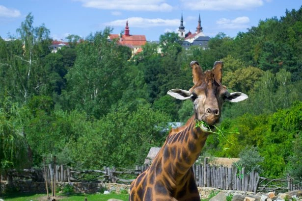 Foto: Shutterstock.com