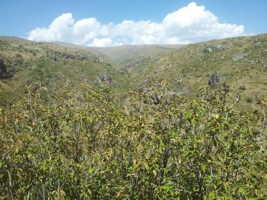 Foto: Miroslav Rončák