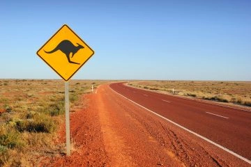 Foto: Shutterstock.com