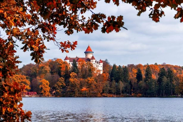 Foto: Shutterstock.com