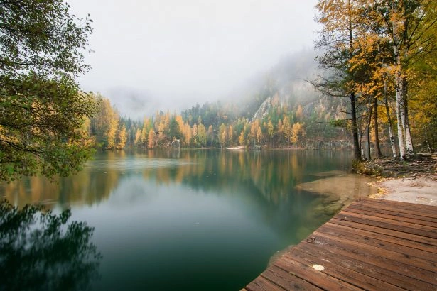 Foto: Shutterstock.com