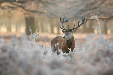 Foto: Shutterstock.com