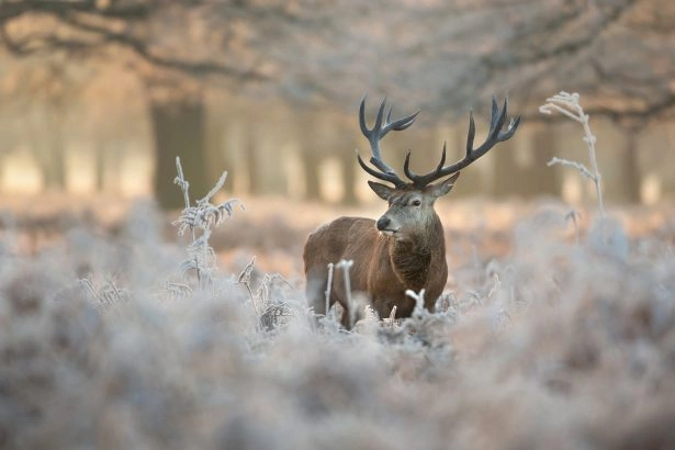 Foto: Shutterstock.com