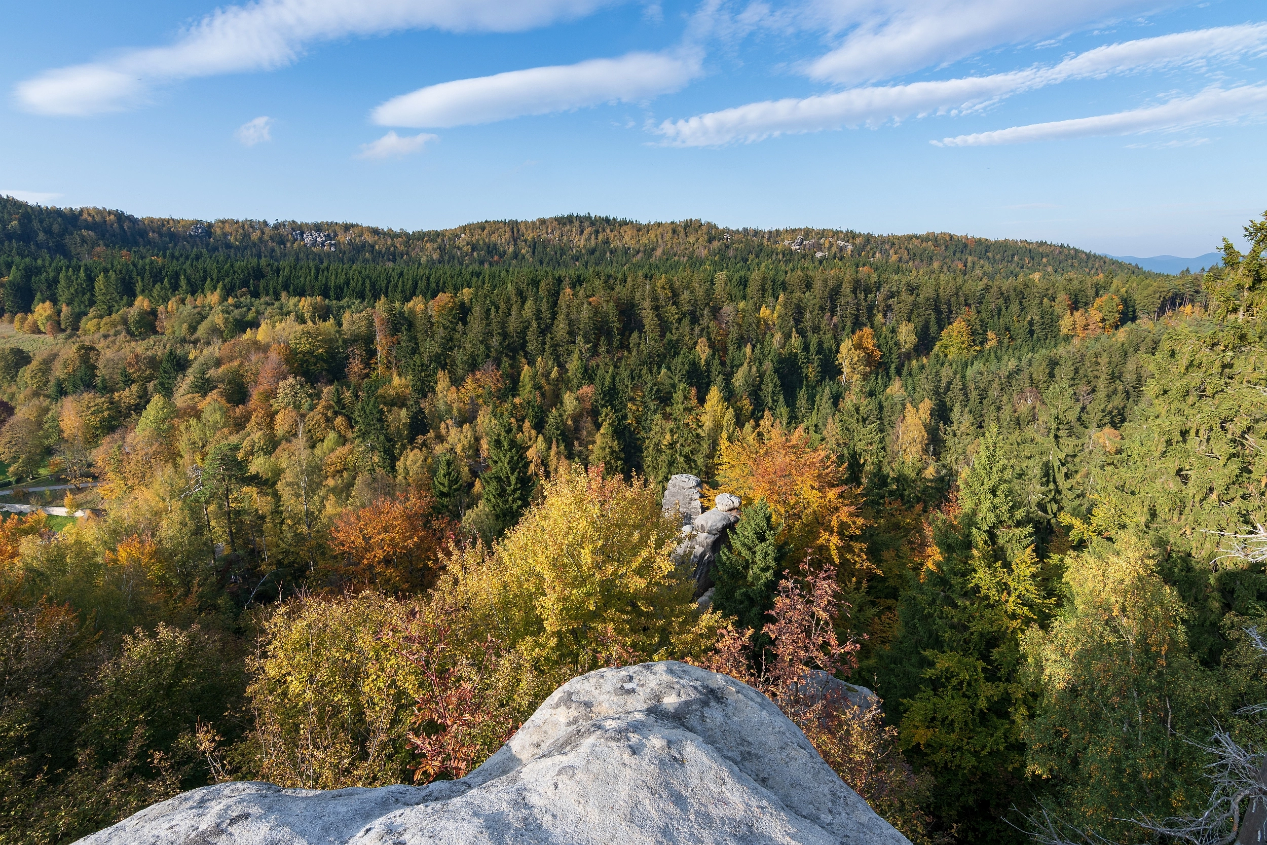 Foto: Shutterstock.com