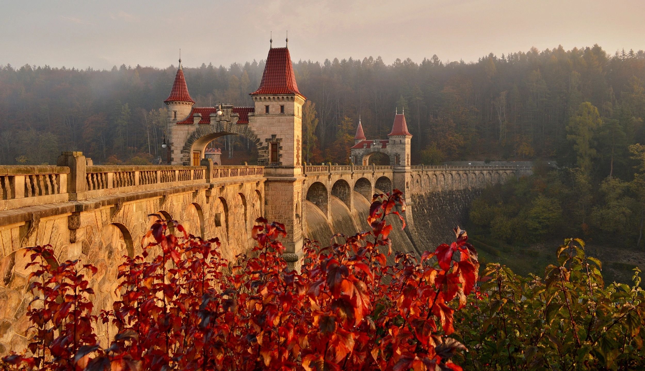 Foto: Shutterstock.com