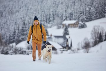 Foto: Shutterstock.com