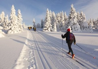 Foto: Shutterstock.com