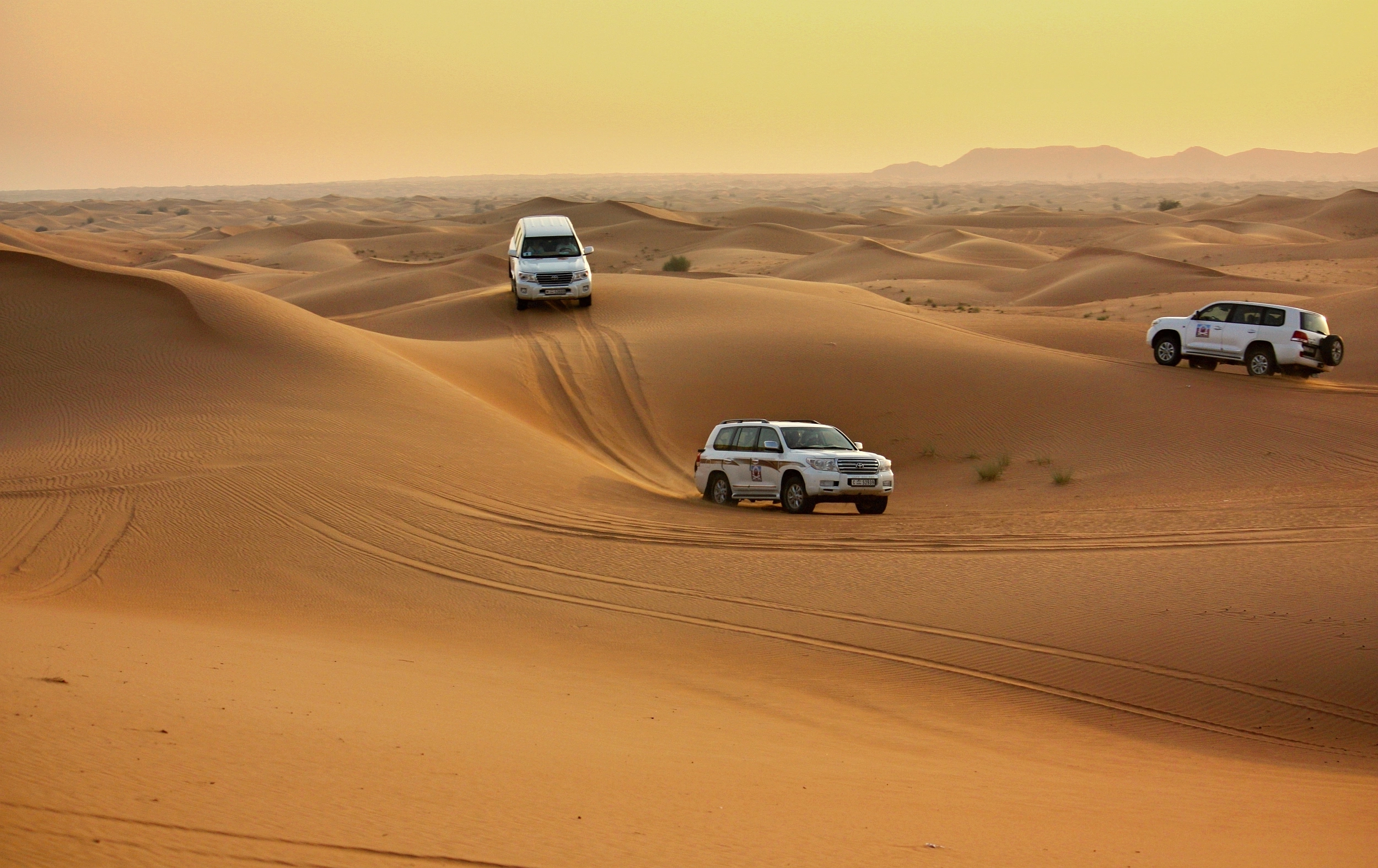 Foto: Shutterstock.com