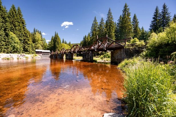 Foto: Shutterstock.com