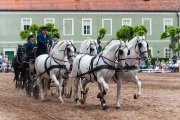 Foto: Shutterstock.com